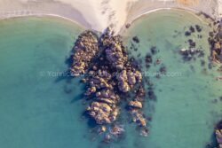 Champignon Granitique